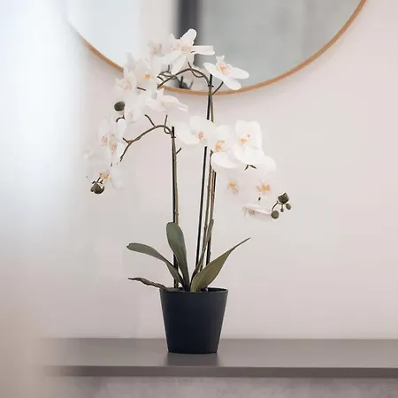 بيت للعطل Elegant 3-bed House W Jacuzzi, Sea Views & Lift المليحة