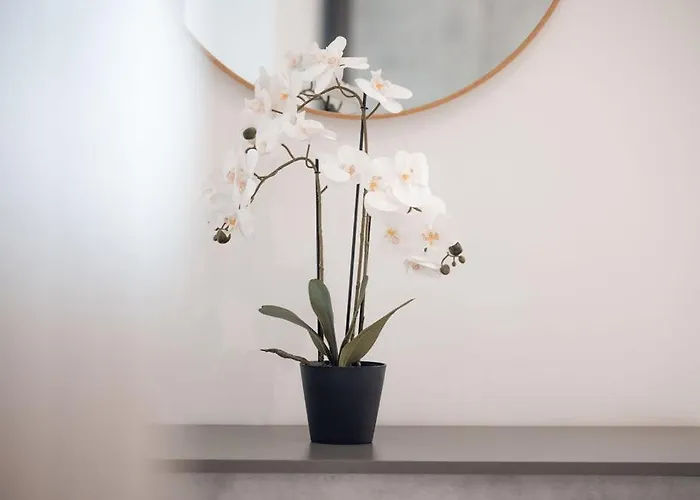 Semesterbostad Elegant 3-bed House W Jacuzzi, Sea Views & Lift Mellieħa