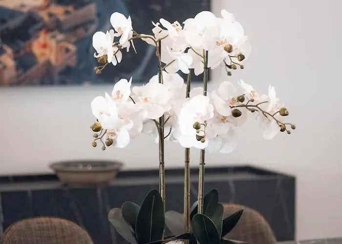 Casa de Férias Elegant 3-bed House W Jacuzzi, Sea Views & Lift *